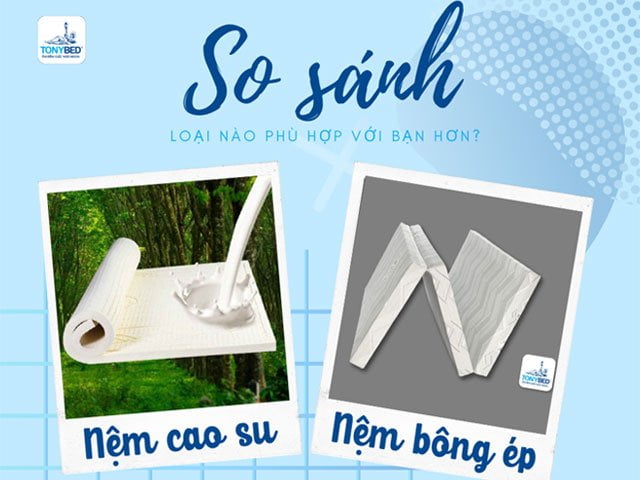 so sánh nệm cao su và nệm bông ép