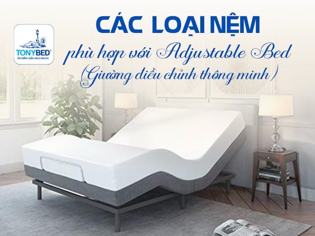 Các loại nệm phù hợp với nệm phù hợp với giường điều khiển thông minh Adjustable Bed