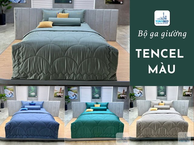 Mẫu ga trải giường tencel màu đẹp cao cấp nhất của Tonybed