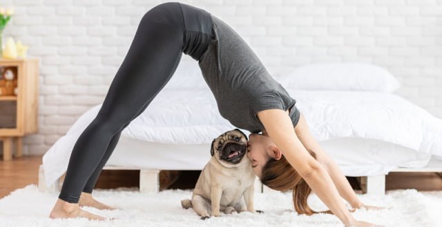 Trước khi ngủ bạn hãy thử tập vài động tác yoga sẽ giúp cho bạn dễ ngủ hơn