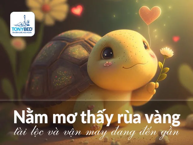 Mơ thấy rùa vàng là điềm báo bạn sắp gặp may mắn