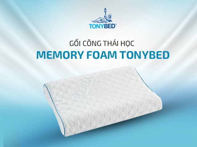 Goi cong thai hoc Memory Foam Tonybed