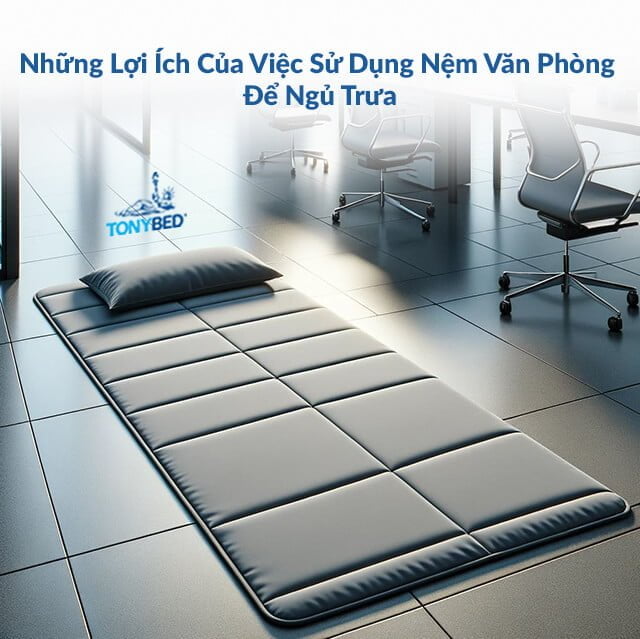 Có giấc ngủ trưa chất lượng tại văn phòng sẽ giúp bạn làm việc hiệu quả hơn