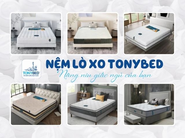 nem-lo-xo-tonybed