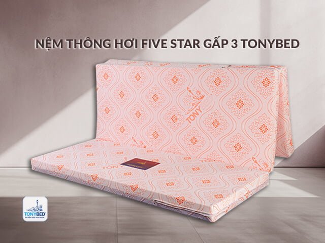 nem thong hoi gap 3 five star Tonybed