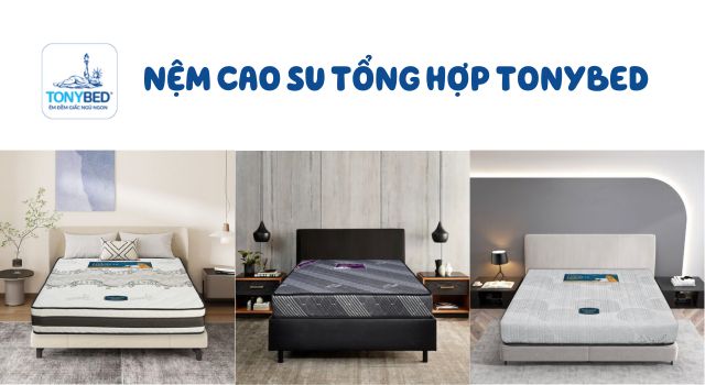 chon-thuong-hieu-uy-tin-nem-cao-su-tong-hop