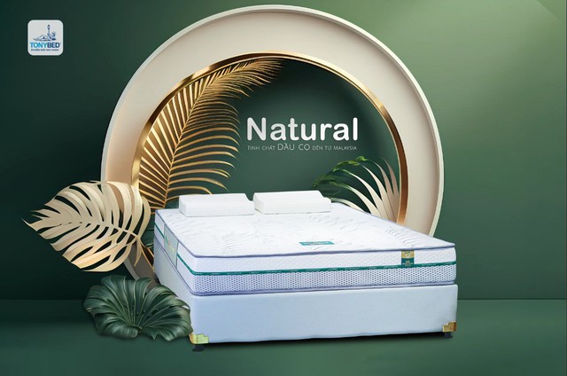 Nệm Dầu cọ, một sáng chế độc đáo từ Tonybed kết hợp hoàn hảo giữa công nghệ hiện đại và nguyên liệu thiên nhiên