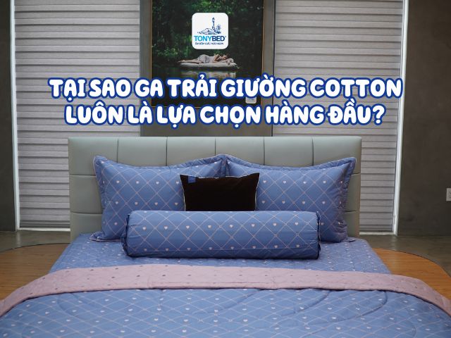 tai-sao-ga-trai-giuong-cotton-luon-la-su-lua-chon-hang-dau