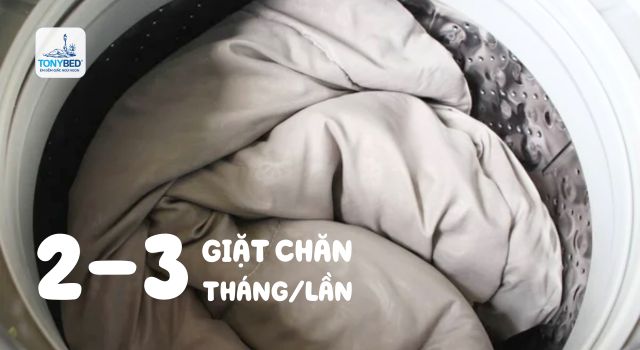 Nên vệ sinh chăn mùa đông định kỳ 3 tháng 1 lần