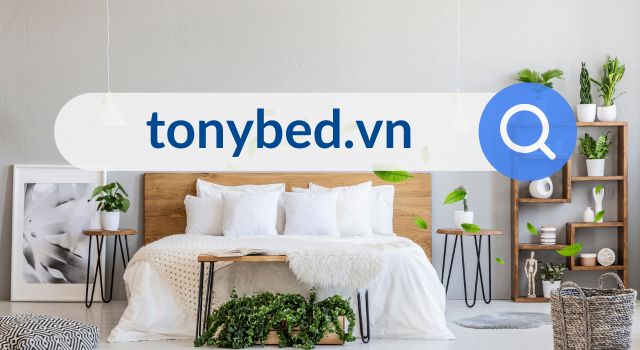 truy-cap-website-tonybed