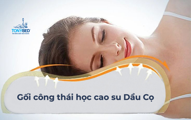 Goi cong thai hoc cao su dau co