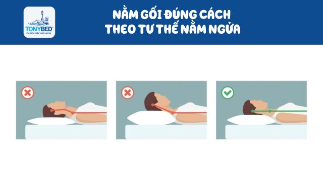 chon-goi-khong-phu-hop-tu-the-ngu-nam-ngua