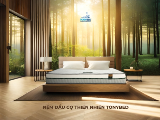 Nem Dau Co Thien Nhien Tonybed