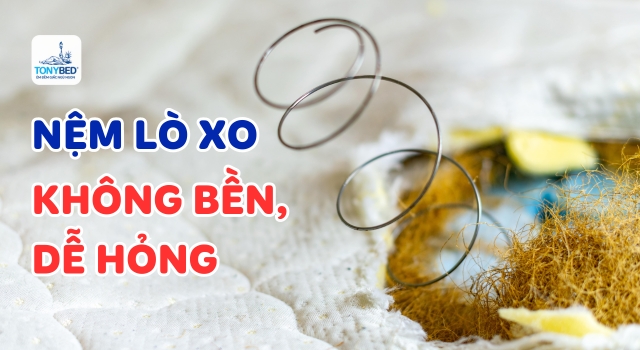 nem lo xo khong ben de hong