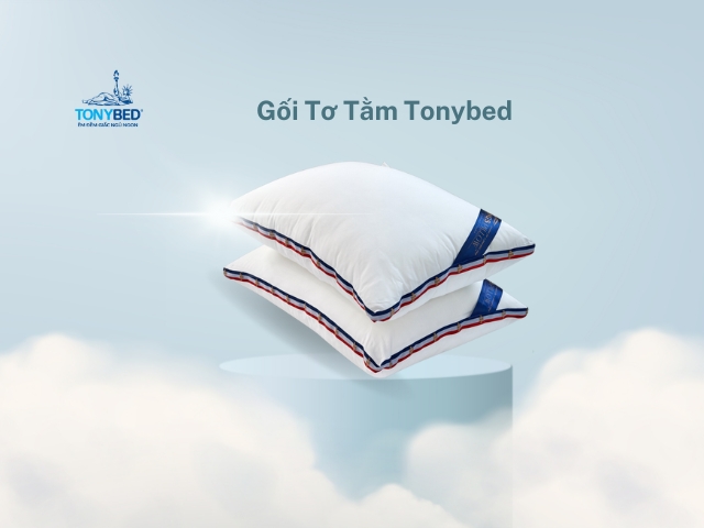 Goi to tam Tonybed