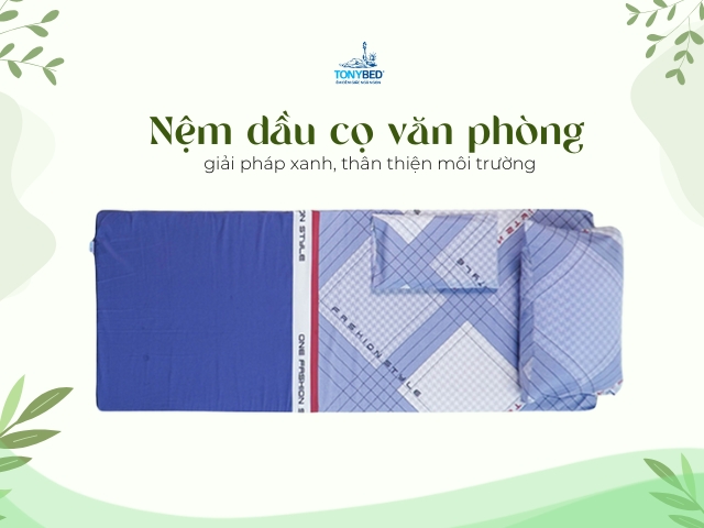 Nem dau co van phong Tonybed