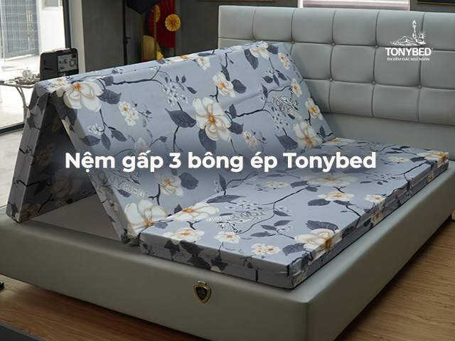 Nem gap 3 bong ep Tonybed