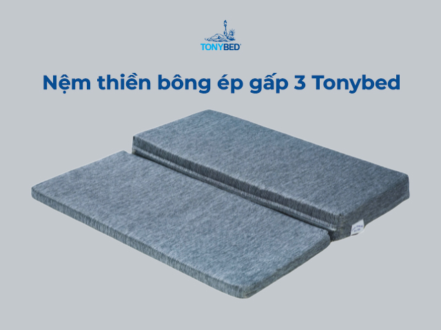 Nem thien foam ep gap 3 Tonybed