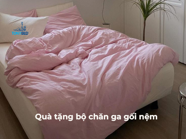 Qua tang bo chan ga goi nem