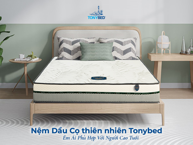 Nem dau co thien nhien Tonybed phu hop voi nguoi cao tuoi