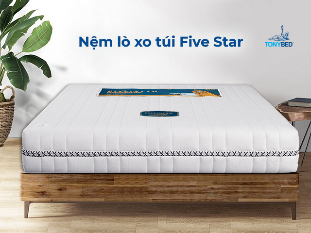 Nem lo xo tui Five Star Tonybed