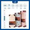 Nệm thông hơi gấp 3 Five Star (4)