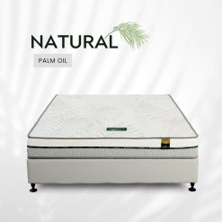 Nệm Dầu Cọ Thiên Nhiên Five Star