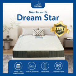 Nệm lò xo túi Dream Star