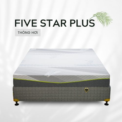 Nệm Foam Five Star Plus
