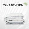 Tấm lót bảo vệ Nệm Chần Gòn Tonybed