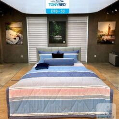Bộ Drap Ga Trải Giường Tencel Bông - DTB53