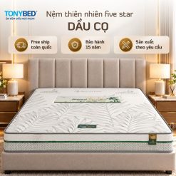 nệm dầu cọ five star