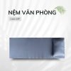 Nệm Ngủ Văn Phòng Cao Cấp