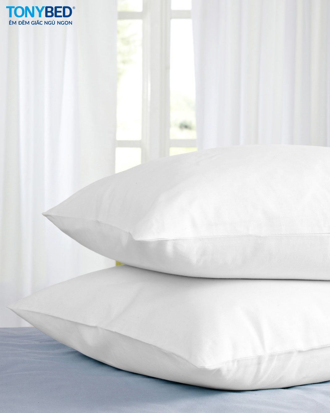 các cách phòng ngừa gối bị mốc