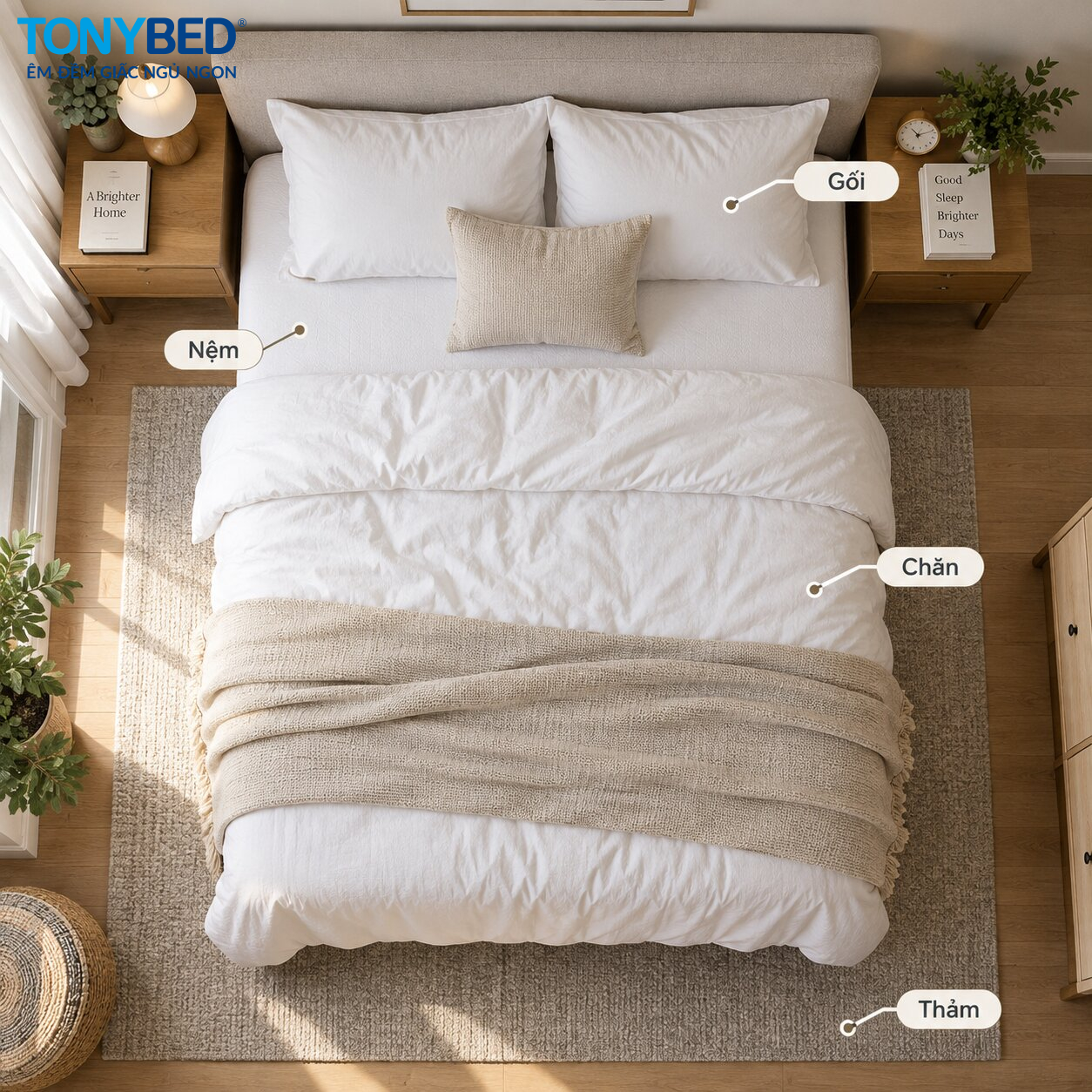 mạt bụi thường xuất hiện ở nệm chăn gối