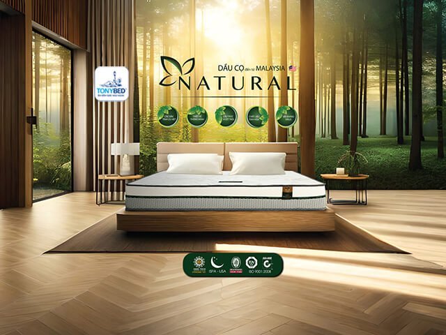 Nệm cao su dầu cọ thiên nhiên thế hệ mới