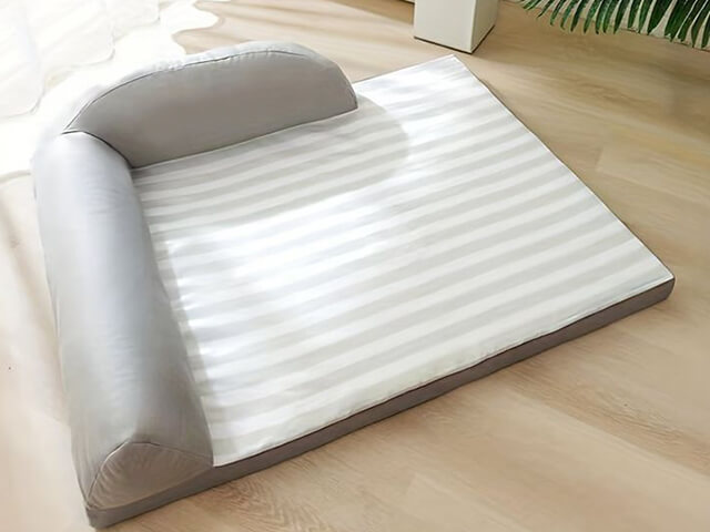 Nem foam danh cho cho meo