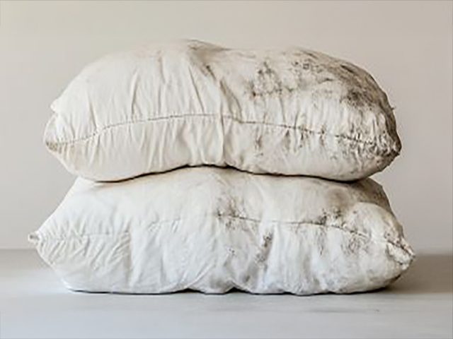 Nguyen nhan khien ruot goi bi moc