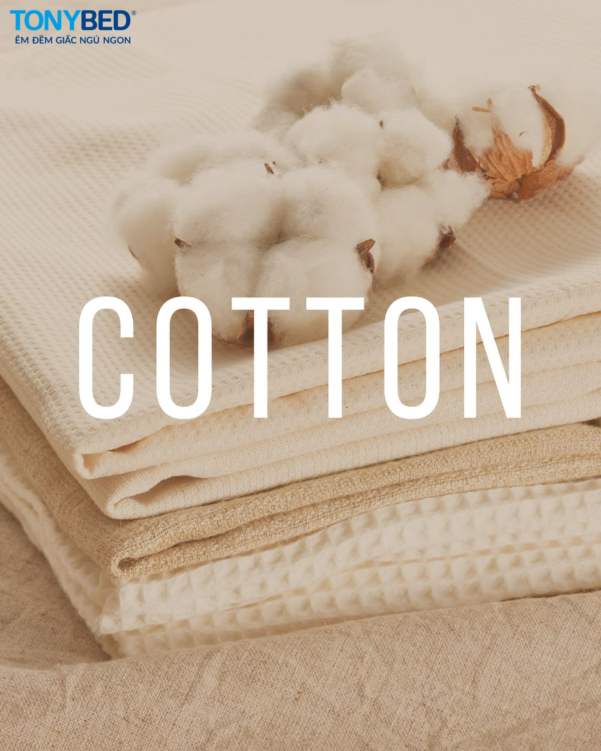 Ứng dụng của vải cotton trong đời sống, sản xuất