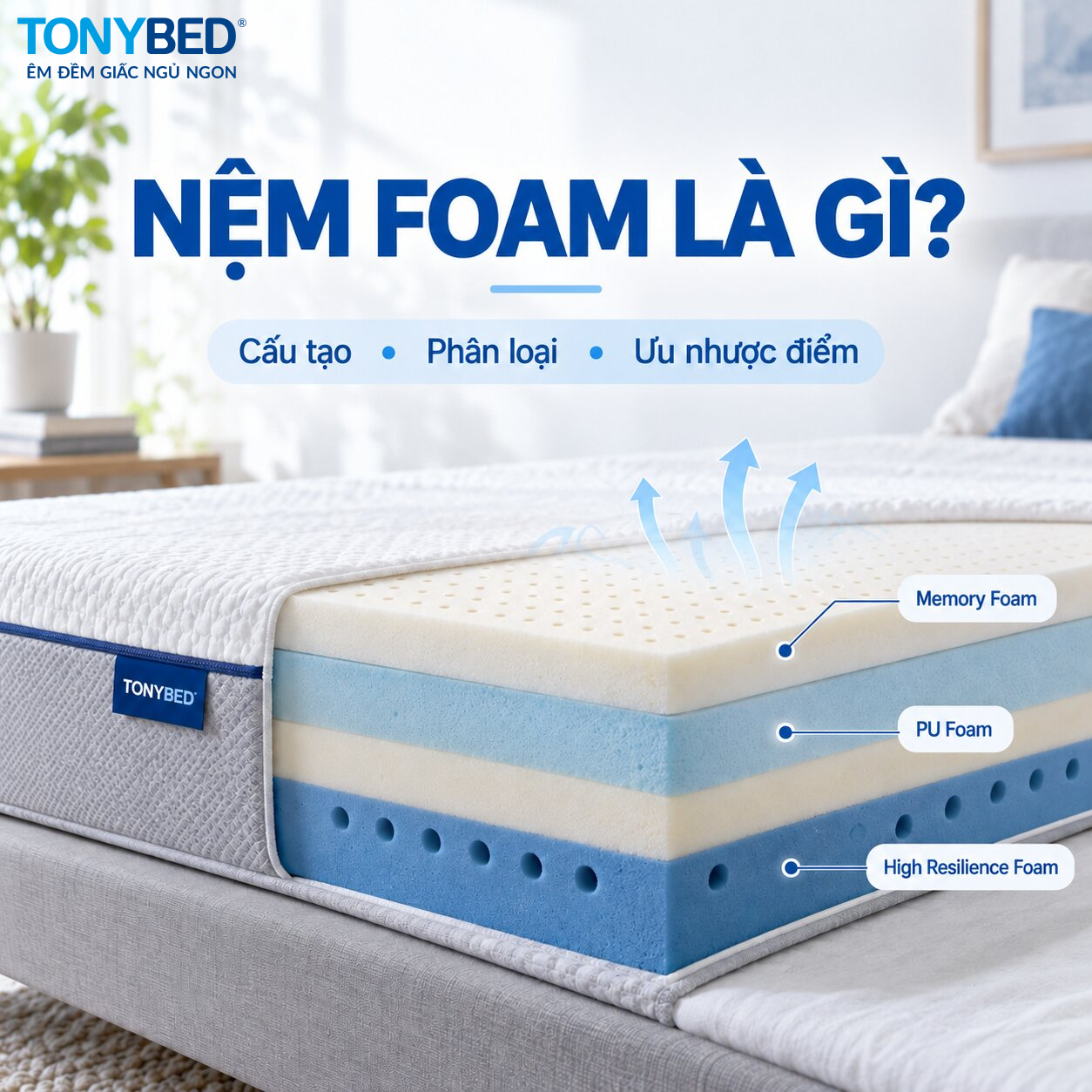 nệm foam là gì