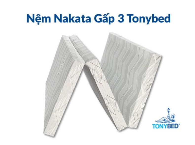 Nệm gấp là gì? Ưu, nhược điểm và các loại nệm gấp phổ biến