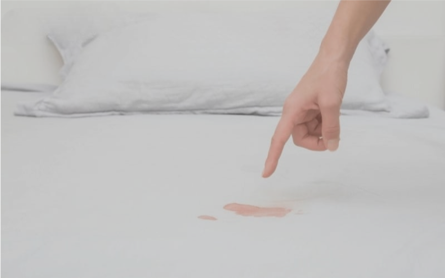 Vệ sinh nệm bông ép dính máu