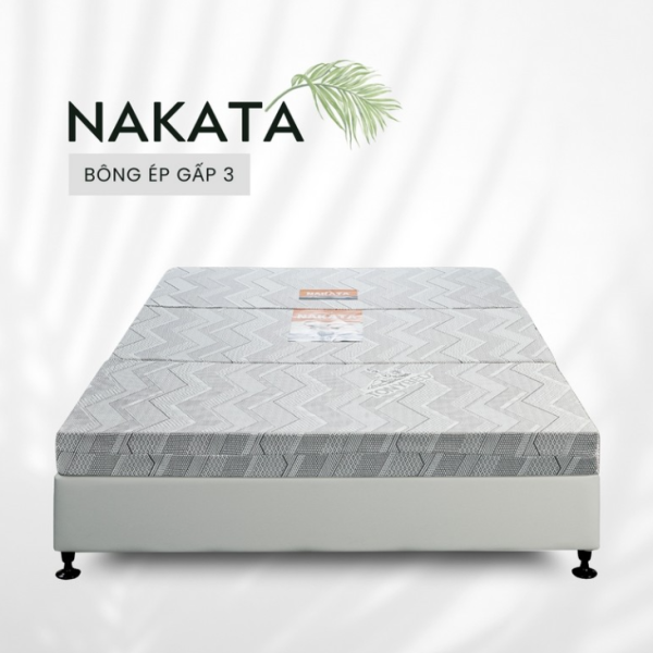 vệ sinh nệm bông ép