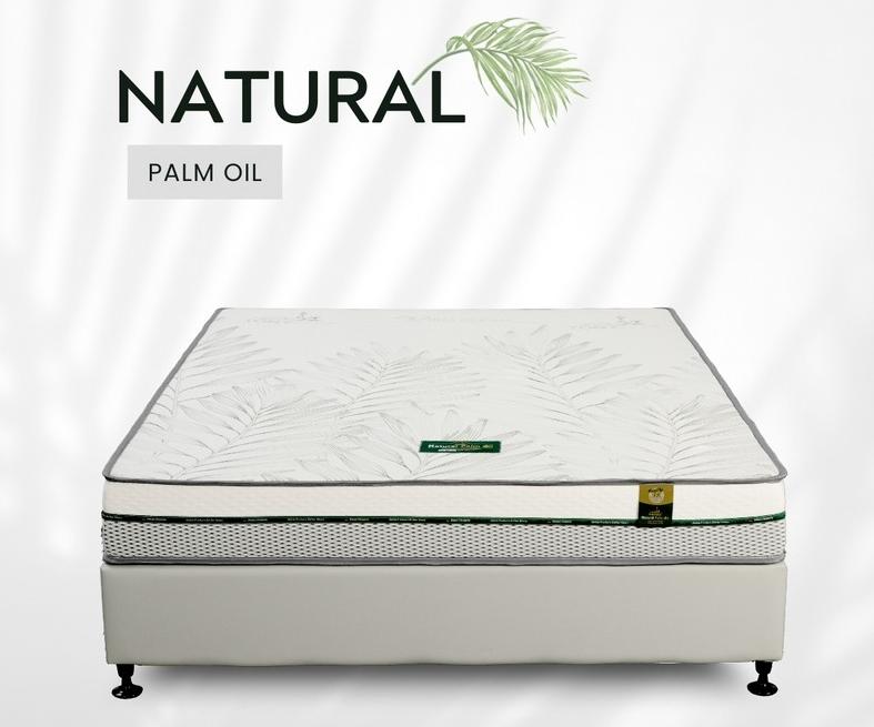 Nệm Dầu Cọ Thiên Nhiên Five Star rất phù hợp với người lớn tuổi
