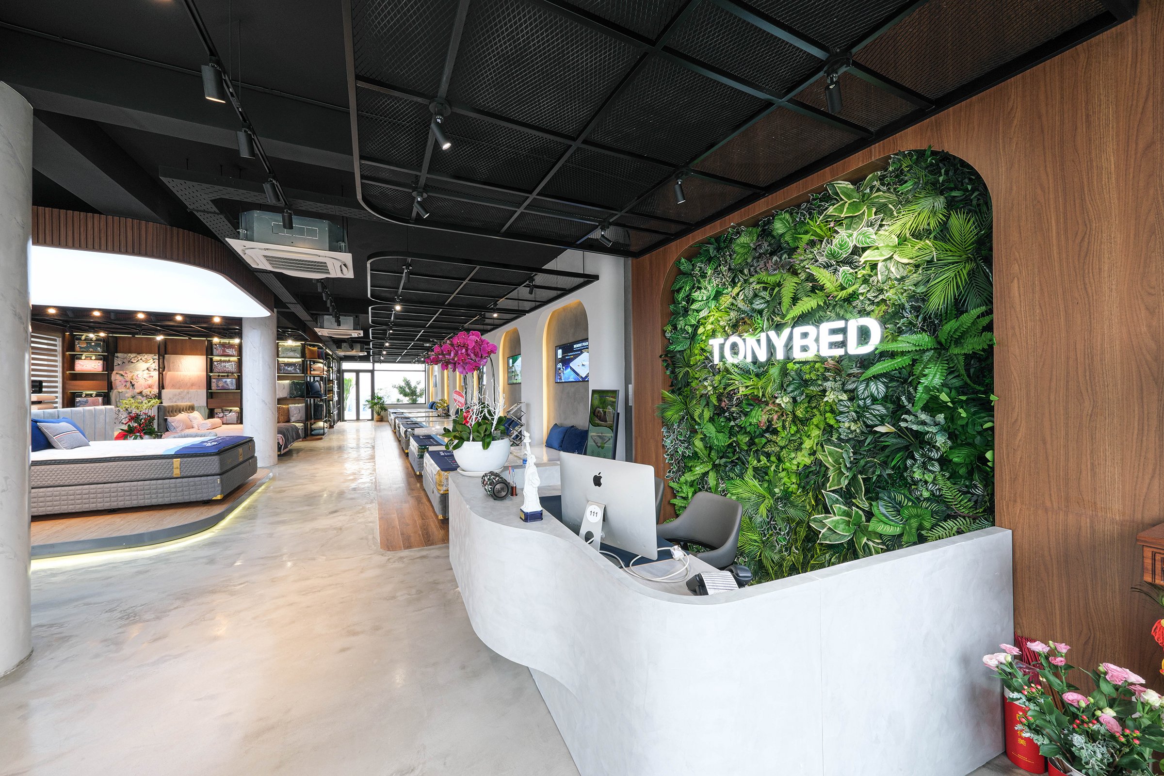 showroom tonybed