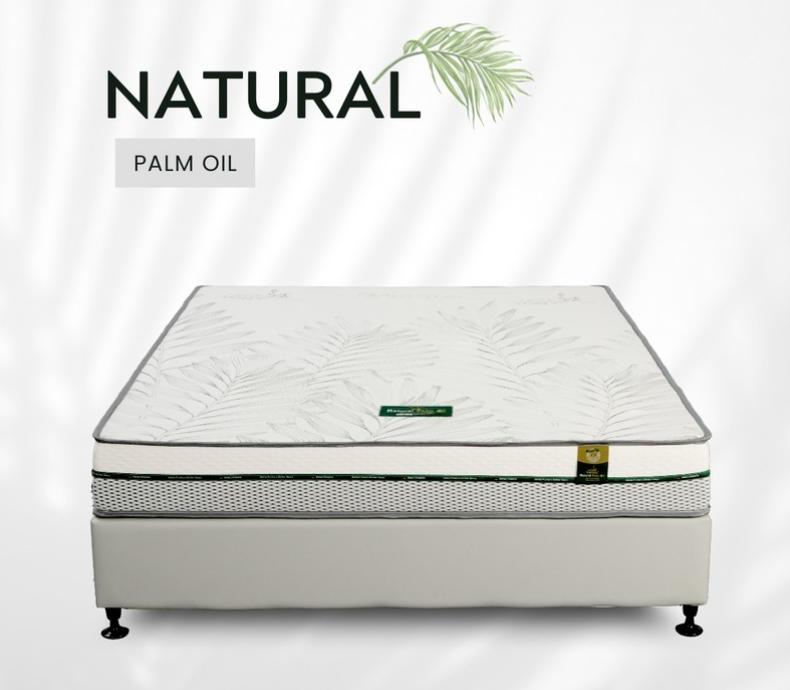 Nệm dầu cọ thiên nhiên Five Star