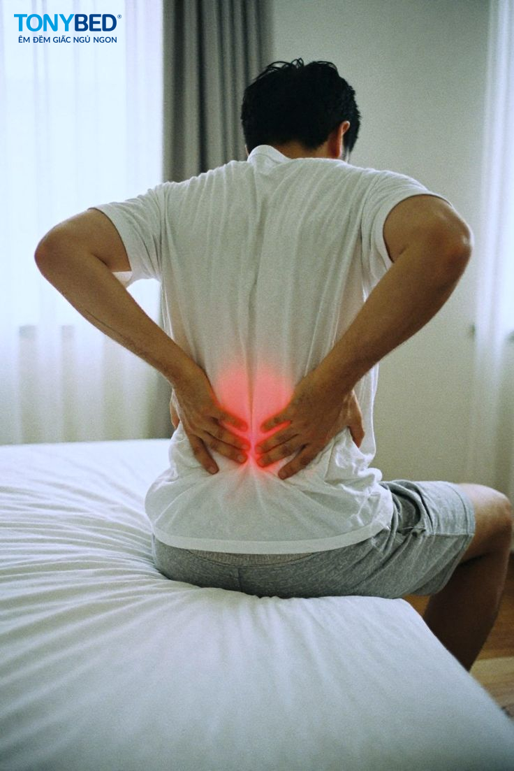 Người bị đau lưng, thoát vị đĩa đệm nên chọn loại nào