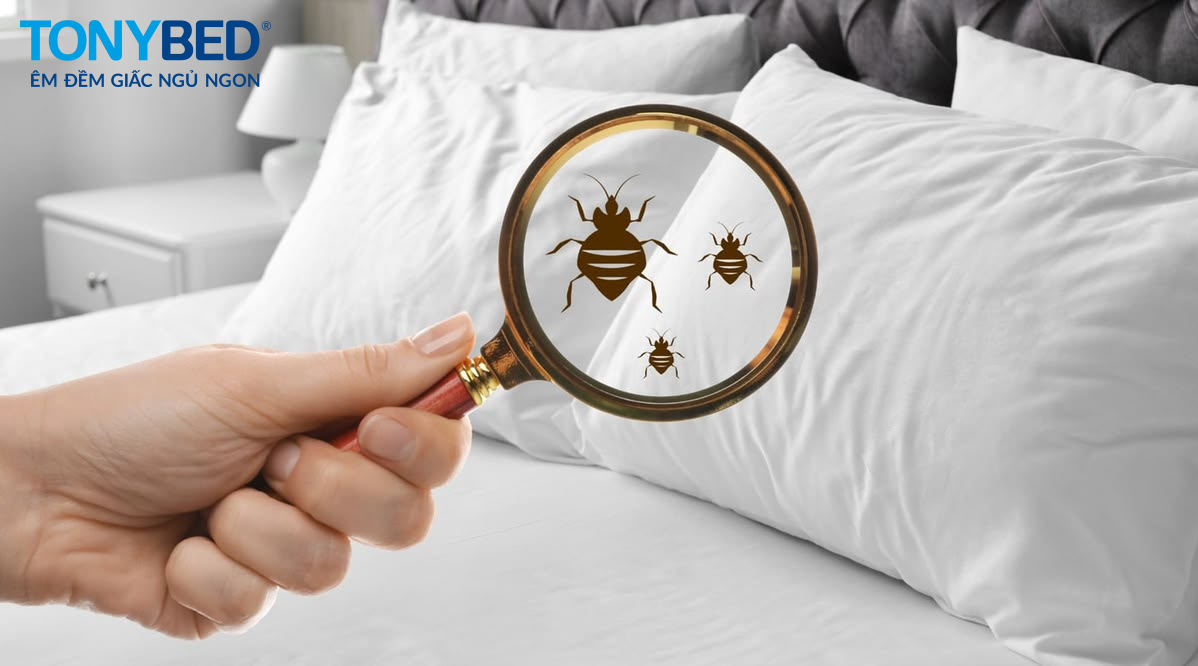 Rủi ro về vệ sinh đến từ rệp, nấm mốc, vi khuẩn