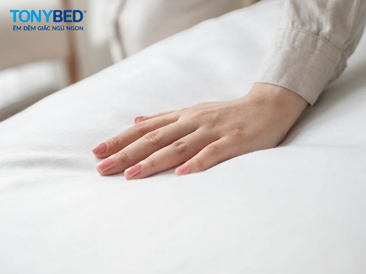 kiểm tra độ đàn hồi của nệm