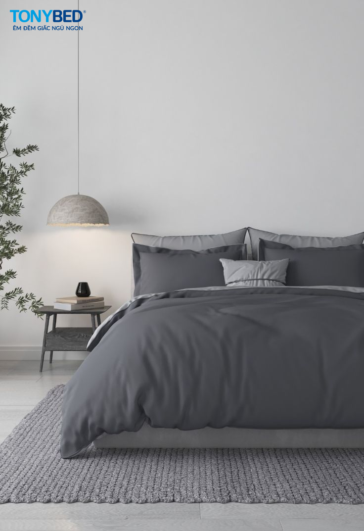 Top 5 mẫu drap giường Modal